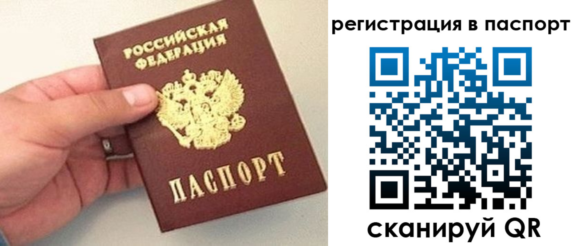 прописка законно в Карачеве